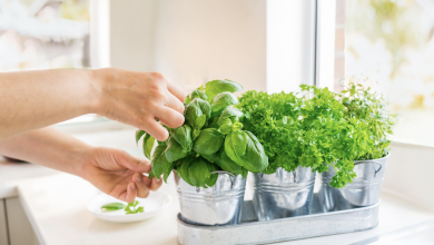 10 Best DIY Herb Garden Ideas to Implement!