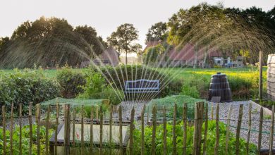 Are Smart Irrigation Systems Worth It? We Can Help You Decide