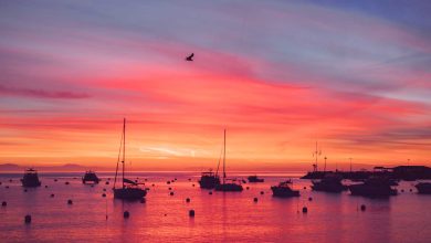 Catalina Island, California - I chickened out; But somehow got rewarded