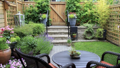 10 Stunning Budget Small Garden Ideas For Your Home!!