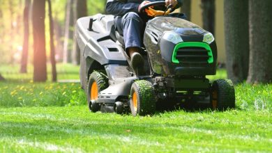 How to Choose the Perfect Small Riding Lawn Mower?