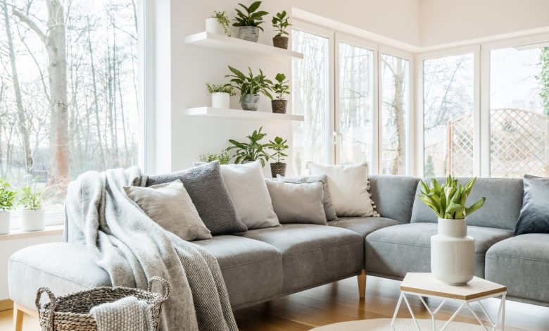 9 Grey Couch Living Room Ideas