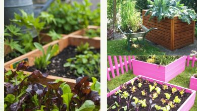 15 Inexpensive Raised Garden Bed Ideas You Can Easily DIY