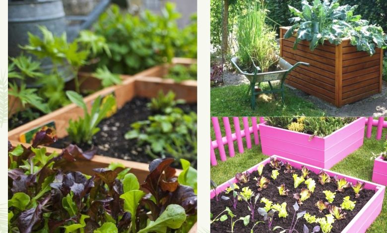 15 Inexpensive Raised Garden Bed Ideas You Can Easily DIY