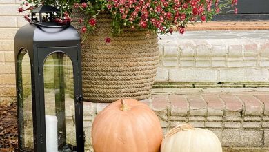 heirloom pumpkins, lantern, and burgundy mums