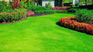 What Are Different Lawn And Flower Bed Maintenance Services