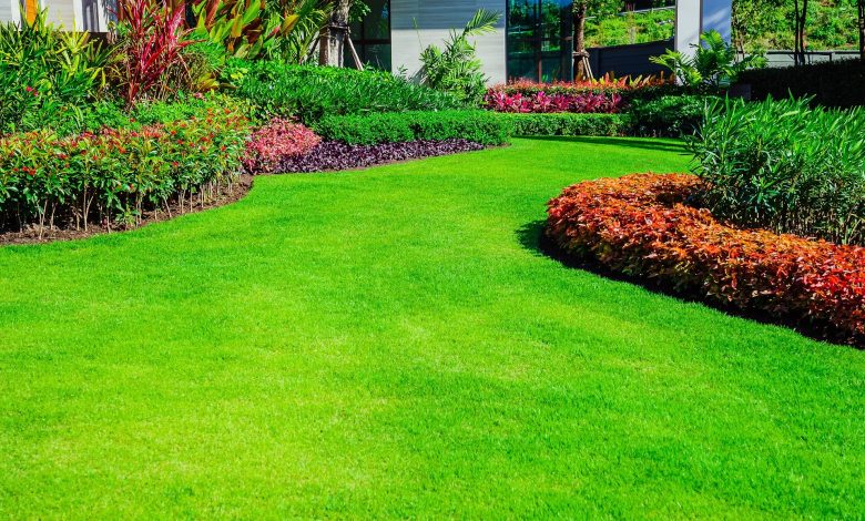 What Are Different Lawn And Flower Bed Maintenance Services