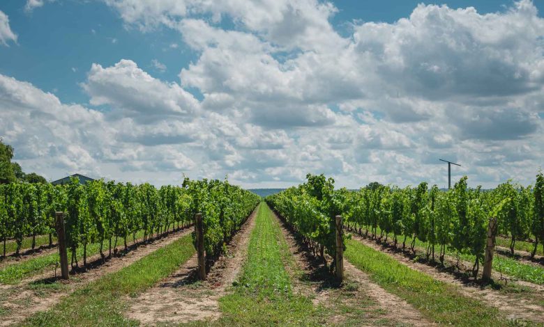 The Ultimate Guide To Prince Edward County, Ontario