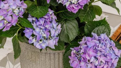 Faux DIY Concrete Planters With Spray Paint