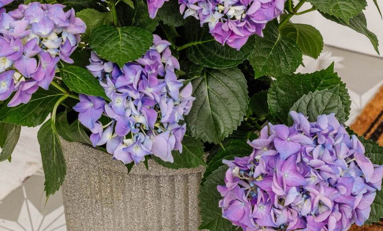 Faux DIY Concrete Planters With Spray Paint