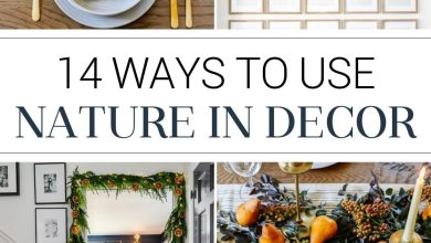 natural decor ideas using things from nature in your home