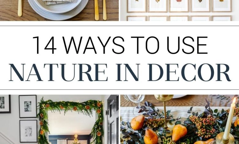 natural decor ideas using things from nature in your home