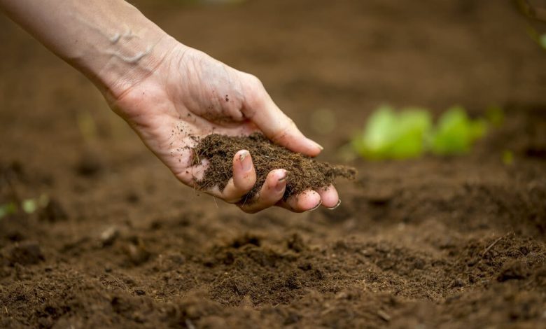 How to Enhance Your Garden Soil