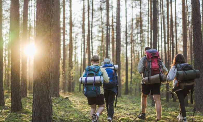 Bird watching, hiking and history: Escape to nature on a trip to Lithuania’s tranquil national parks