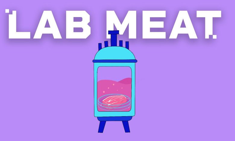 EU DECODED: Could lab-grown meat arrive in supermarkets soon?