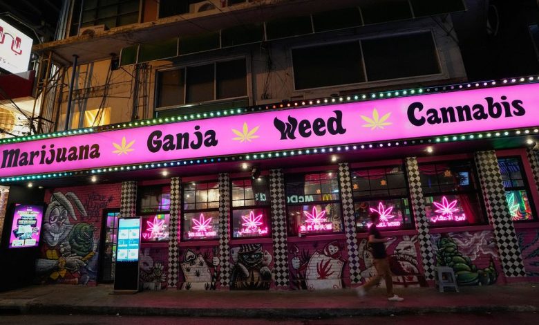 Is weed still legal in Thailand? Here’s what tourists need to know as government u-turns