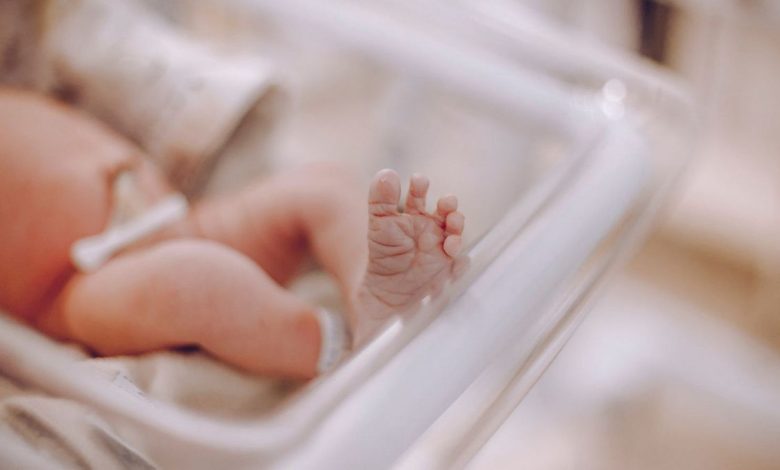 Preterm births linked to lower income, employment and education in adulthood, study finds