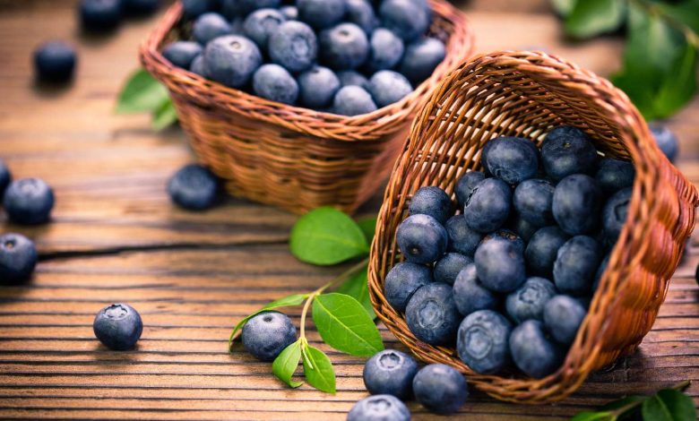 8 benefits of blueberries for skin you can’t miss