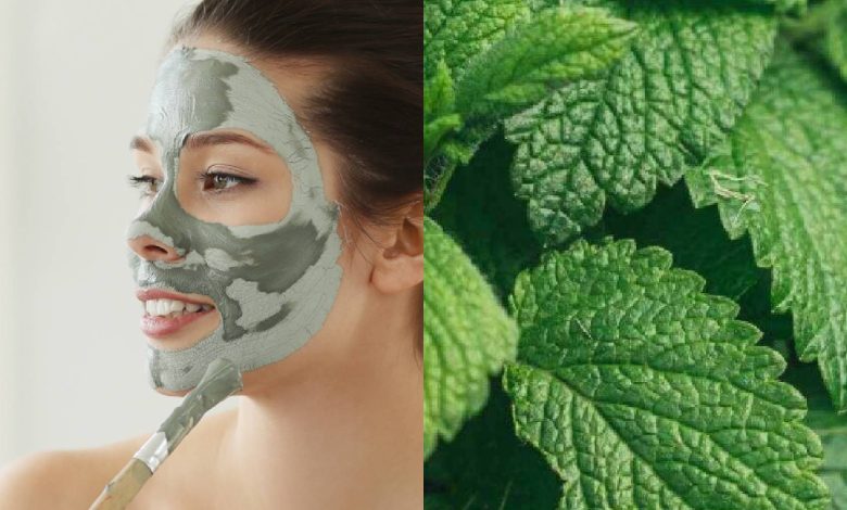 6 benefits of lemon balm that will make you include it in your skincare regime