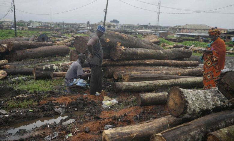 EU anti-deforestation law delay: centre-right cries victory, NGOs cry foul