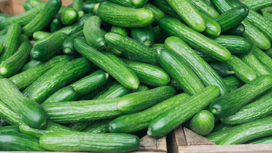 There’s a Major, Multi-State Cucumber Recall Happening That’s Linked to Salmonella