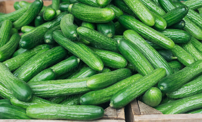 There’s a Major, Multi-State Cucumber Recall Happening That’s Linked to Salmonella