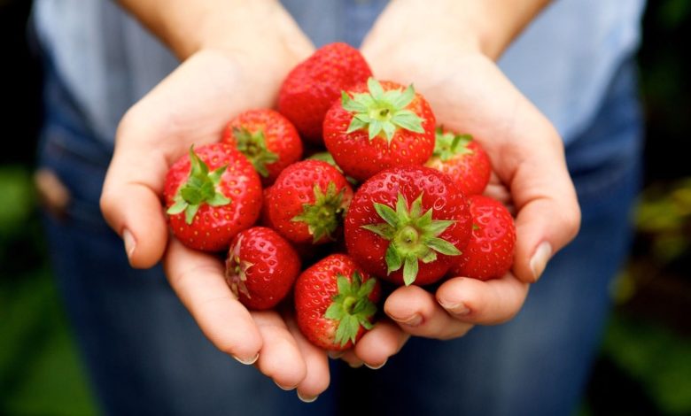 Strawberries in hand