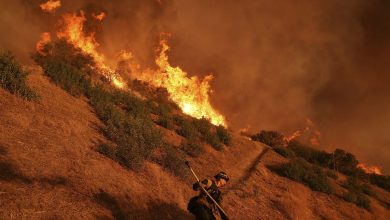 California wildfire costs set to impact European reinsurance giants