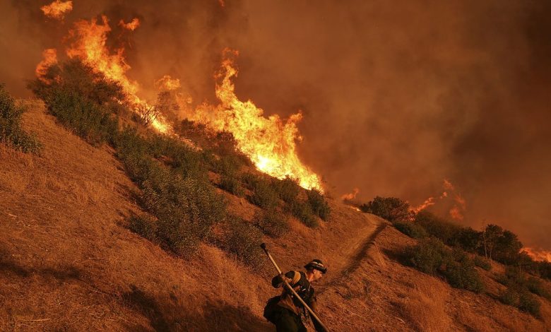 California wildfire costs set to impact European reinsurance giants