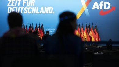 Court rules AfD Saxony can be designated as far-right extremist group