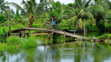 Emerald backwaters, golden beaches and hilltop havens: Northern Kerala is India’s tranquil gem