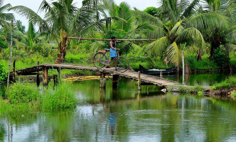 Emerald backwaters, golden beaches and hilltop havens: Northern Kerala is India’s tranquil gem