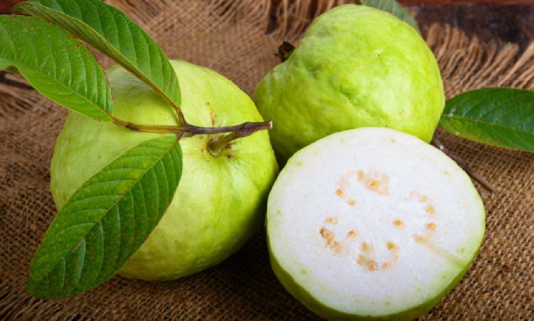 Guava for skin: 8 reasons to add this fruit to your beauty routine