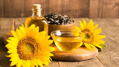 Sunflower oil for cooking: Know the benefits and 7 options that promote heart health