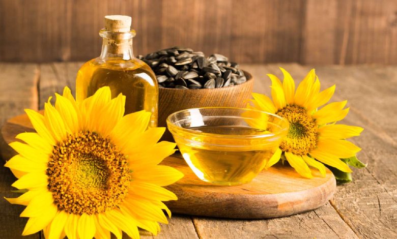 Sunflower oil for cooking: Know the benefits and 7 options that promote heart health