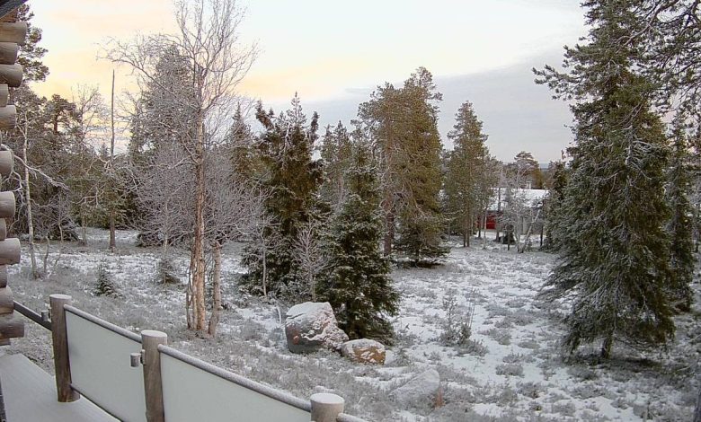 ‘Devastating’: Christmas in Lapland is cancelled after trips called off due to lack of snow