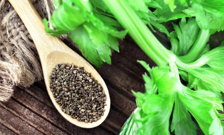 Celery seed benefits