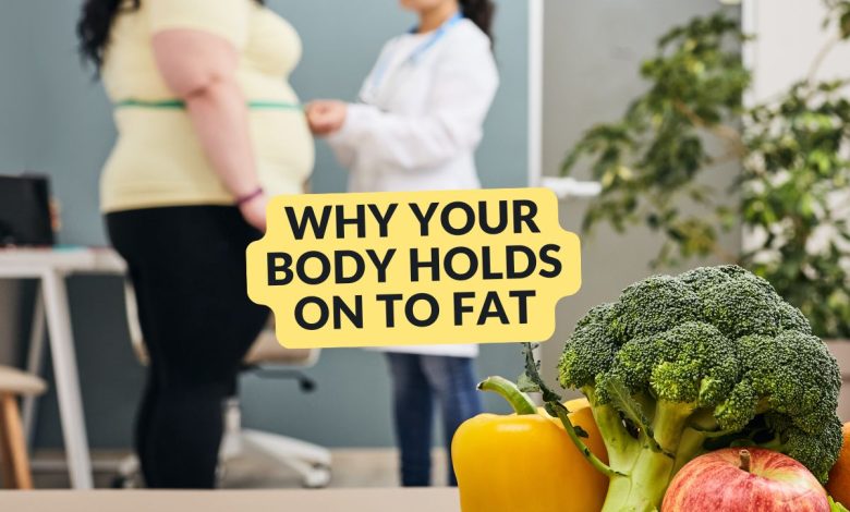 Why Your Body is Holding on to Fat (and How to Let It Go)