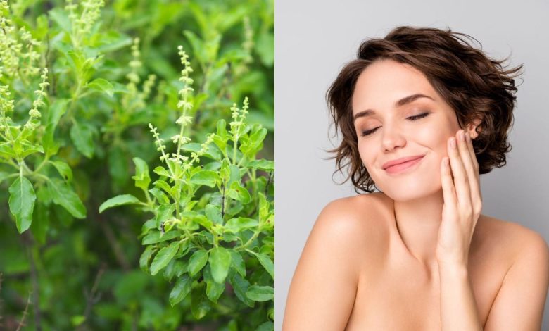 Tulsi for skin: 5 easy ways to get a natural glow