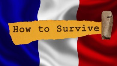 Survival manual to be sent to every French household by this summer