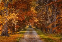 Best Day Trips from Toronto for 2025: Top 24 Escapes