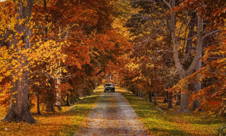 Best Day Trips from Toronto for 2025: Top 24 Escapes