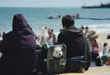 Brexit complicated travelling with a pet between the UK and EU, but new rules could change that