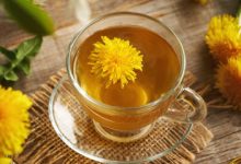 Dandelion tea helps with weight loss: Myth or fact?
