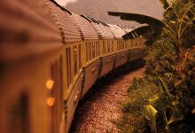 Journey through the rainforest in luxury on Malaysia’s last remaining sleeper train