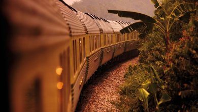 Journey through the rainforest in luxury on Malaysia’s last remaining sleeper train