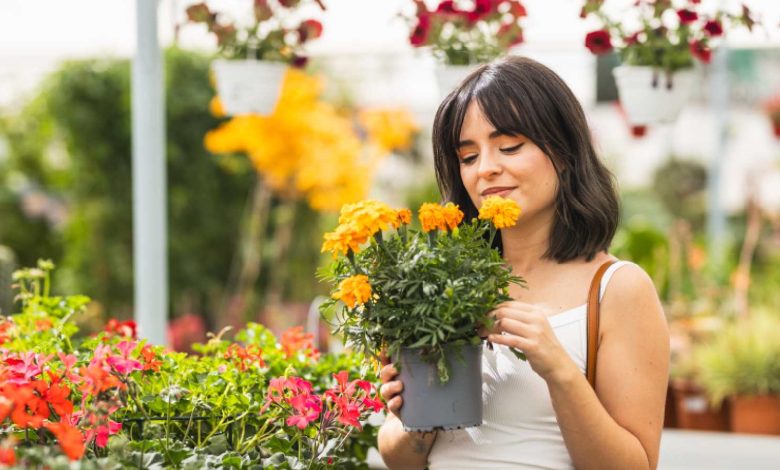 National Dengue Day 2025: 9 plants that repel mosquitoes