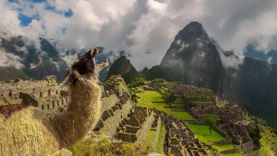 Ultimate Guide to the Wonders of the World: Ancient, Natural, and New