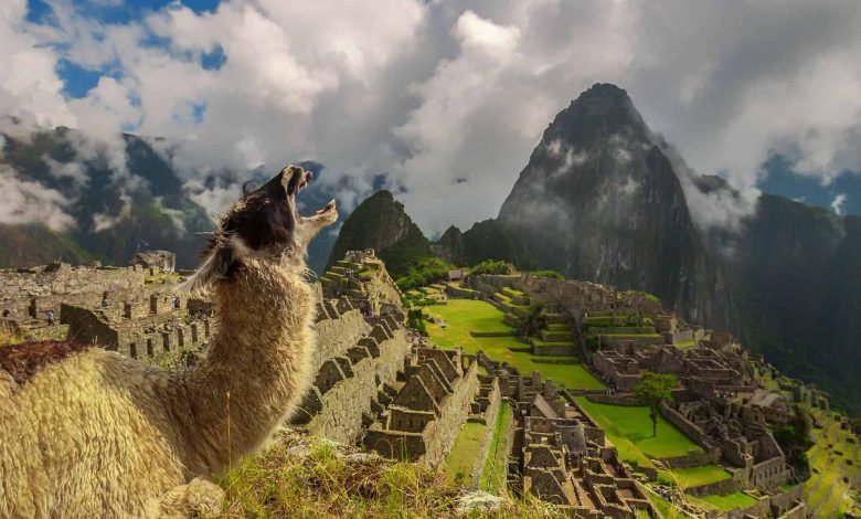 Ultimate Guide to the Wonders of the World: Ancient, Natural, and New