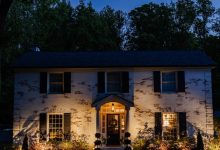 solar spotlight landscape lights